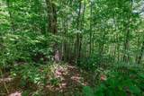 Lot 111C Puett Cove Estates - Photo 12