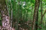Lot 111C Puett Cove Estates - Photo 13