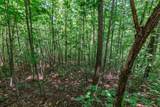 Lot 111C Puett Cove Estates - Photo 14