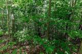 Lot 111C Puett Cove Estates - Photo 15