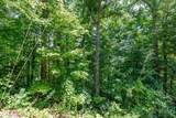 Lot 111C Puett Cove Estates - Photo 16