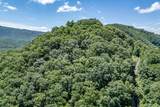 Lot 111C Puett Cove Estates - Photo 22