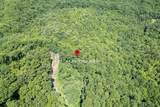 Lot 111C Puett Cove Estates - Photo 39