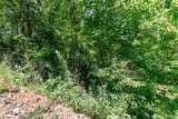 Lot 111C Puett Cove Estates - Photo 6