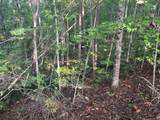 Lot 7 Madison Lane - Photo 11