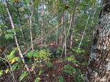 Lot 7 Madison Lane - Photo 12