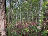 Lot 7 Madison Lane - Photo 4