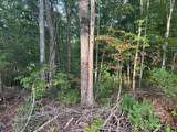 Lot 7 Madison Lane - Photo 9