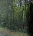 2a Woodberry Lane - Photo 2