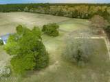 1667 Youngs Road - Photo 48