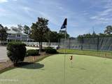 310 White Swan Court - Photo 94