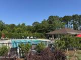 310 White Swan Court - Photo 95