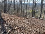 22M 26M Ridges Fairway - Photo 6