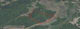 0 Reavico Farm Road - Photo 1