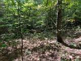 Lot 6&7 Donley Road - Photo 11