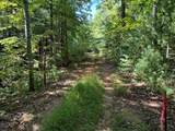 Lot 6&7 Donley Road - Photo 2