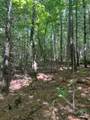 Lot 6&7 Donley Road - Photo 5