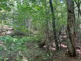 Lot 6&7 Donley Road - Photo 9