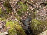 Lot 16 Ivy Log Road - Photo 11