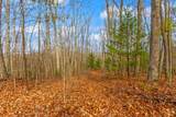 3.45 ac Guy Eller Road - Photo 11