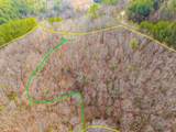 3.45 ac Guy Eller Road - Photo 21