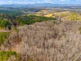 3.45 ac Guy Eller Road - Photo 31