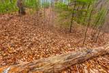 3.45 ac Guy Eller Road - Photo 8