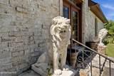 201 Winding Creek Road - Photo 8