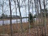 251 Alligator Loop Road - Photo 3