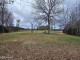 251 Alligator Loop Road - Photo 4