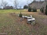 251 Alligator Loop Road - Photo 6
