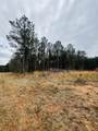LOT 14 Wisteria Drive - Photo 2