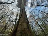 00 Gurman Powell Road - Photo 4