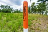 Lot 343 Loop Lane - Photo 12