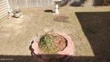 110 Quail Point Drive - Photo 24