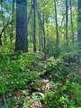 00 Deer Run - Photo 3