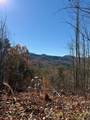 Lot 13 View Ridge Trail - Photo 8