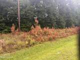 000 Richlands Highway - Photo 3