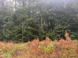 000 Richlands Highway - Photo 5