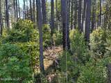 570 Highway 70 - Photo 3