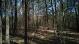 329 Jenkins Street - Photo 13