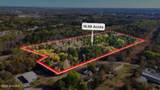329 Jenkins Street - Photo 14