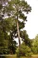 385 Sand Ridge Road - Photo 22