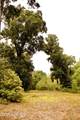 385 Sand Ridge Road - Photo 23