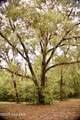 385 Sand Ridge Road - Photo 9