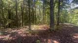 1.81 Ac Nature Valley Trail Trail - Photo 1