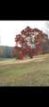 1.81 Ac Nature Valley Trail Trail - Photo 16
