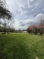 317 Robinson Road - Photo 10