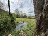 317 Robinson Road - Photo 9
