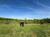2727 Lower Moncure Road - Photo 56